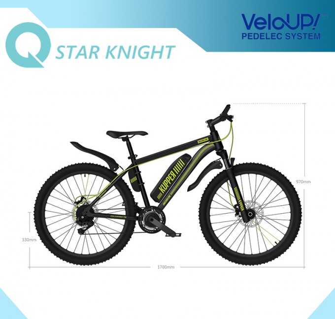 5.2ah/8.8ah Disc-Brake Electric Mountain with High Performance Suspension Fork Bike Image1