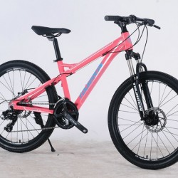 24 26′′ Aluminum Alloy Suspension 21 Speed Customized Mountain Bike
