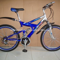 Full Suspension Mountain MTB Bicycle (SH-SMTB032)