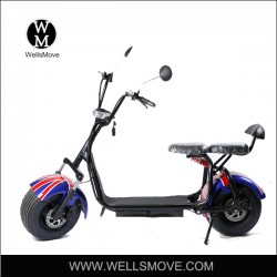 Harley Electric Bicycle 1000W Double Seat Disc Brake Front/Rear Suspension
