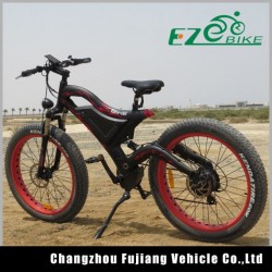 Fujiang High Performance Electric Bike with Dual Suspension Fork