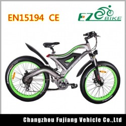 48V 750W Bafang Motor Suspension Fork Fat Tire Ebike