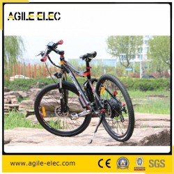 36V 250W Hub Motor Powered Electric Bike with Suspension