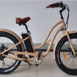 4.0 Inch Fat Trie Snow Beach Cruiser E-Bike 500W 48V Fork Suspension Mountain Bike