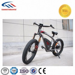 Air Suspension High Quality E-Bicycle