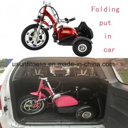 350W48V Front Back Suspension New Citycoco Harlley Three Wheel Electric Scooter/Cheap Electric Trike