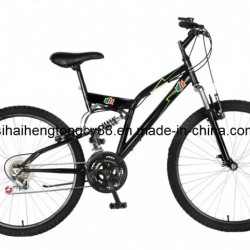 Simple Full Suspension Mountain Bicycle (SH-SMTB038)