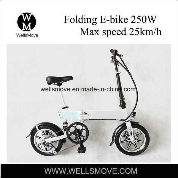 2017 Eco Aluminum Folding Electric Bike with Rear Suspension 250W Brushless Motor Image1