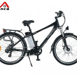 250W 500W Electric Bike E Bicycle Al Alloy Suspension Fork Rst 8fun Motor 100km City Road Ride
