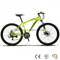 China Full Suspension MTB Mountain Bike Made in China