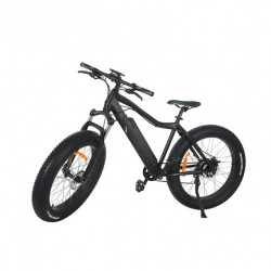 Full Suspension Moun