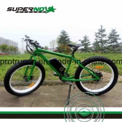 Full Suspension Mountain Electric Bike