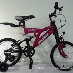 16" Full Suspension MTB Children Mountain Bike (FP-KDB-SM301)