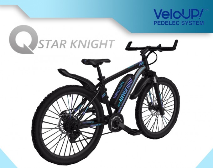 Fashion High Performance Suspension Fork Electric Hire Bikes Image1