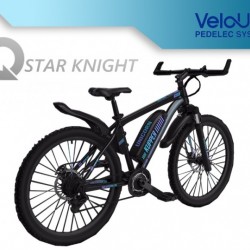 Fashion High Performance Suspension Fork Electric Hire Bikes