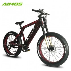 Double Suspension Fork Geared 48V 1000W Electric Bike with PAS