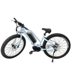 4.0 Inch 250W Fat Tire F/R Dsic Brake Electric Suspension Fork China Made MID Motor Mountain Bike fo