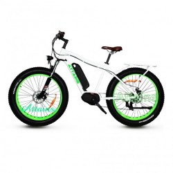 48V 1000W Fat Tire E