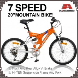 20 Inch Full Suspension 7 Speed Mountain Bike (KB-M2001)