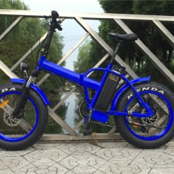 20′′ Folding Beach Cruiser Electric Bicycle with Good Suspension Rseb507