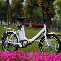 All Suspension Green Power Ebike Folding Bicycle with Silver Fish Ebike Battery
