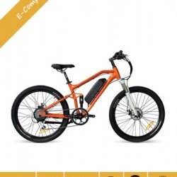Full Suspension Electric Mountain Bike for Sales