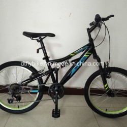 20inch Suspension Frame MTB Bike, Suspension Mountain Bike, Bike