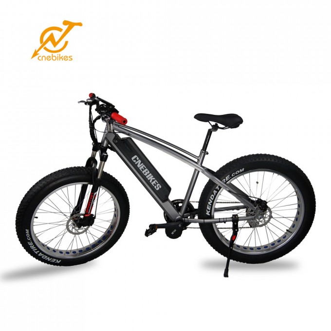 Full Suspension MID Drive 750W Fat Tire Mountain Electric Bike Image1