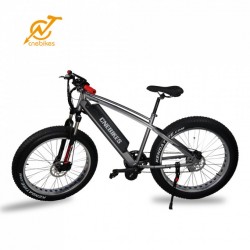 Full Suspension MID Drive 750W Fat Tire Mountain Electric Bike