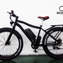 Full Suspension Fork Fat Mountain Electric Bicycle