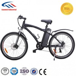 Zhejiang 26 Inch Electric Mountain Bike/Bicycle with Suspension