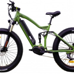 Two Suspension Fork Fat Tire Electric Bike