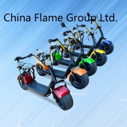 Electric Bicycle with F/R Suspension 2 Seat and Rear Light