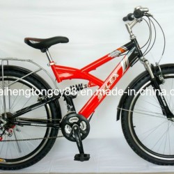 Full Suspension Mountain Bicycle with 21speed (SH-SMTB095)
