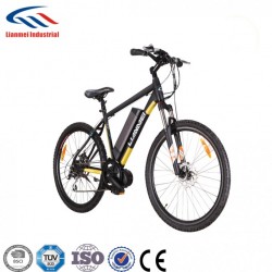 Electric Mutain Bike with Hydraulic Suspension