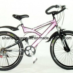 New Model Adult Full Suspension Mountain Bicycle (SH-SMTB121)