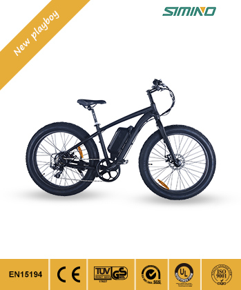 Manufacturer 500W/750W 48V Front Suspension Mountain Electric Bike Image1