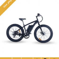 Manufacturer 500W/750W 48V Front Suspension Mountain Electric Bike