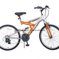 Mountain Bike with S