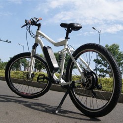 Mountain Full Suspension Ebike with 48V 500 Hub Motor