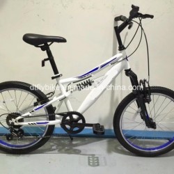 20inch Suspension Frame MTB Bike, Suspension Bike, Suspension Bicycle, Bike