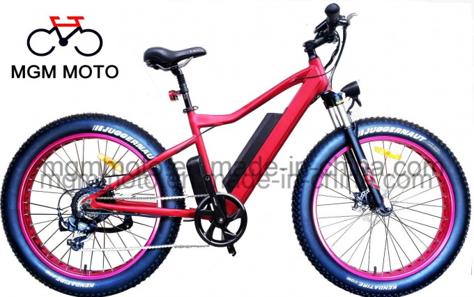 Hidden Battery Fat Tire 26inch Mountain Electric Bicycle Image1