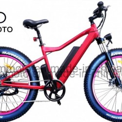 Hidden Battery Fat Tire 26inch Mountain Electric Bicycle