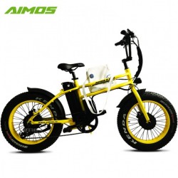 20 Inch 14.5ah Dual Motor 48V 750W Fat Electric Bike