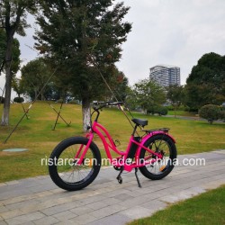 26inch Electric Bicycle for Lady Use