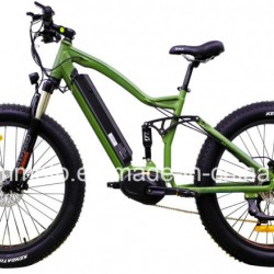 500W Big Power Fat Tire MID Drive Mountain Electric Bicycle