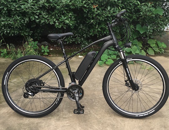 48V 350W Disc Brake E-Bike Image1