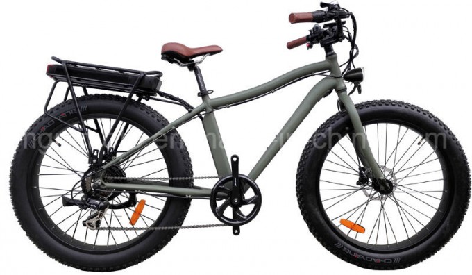 250W Fat Tire Mountain Electric Bike Image1