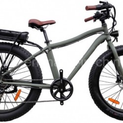 250W Fat Tire Mountain Electric Bike