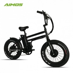 Dual Motor Front and Rear 500W Electric Bike